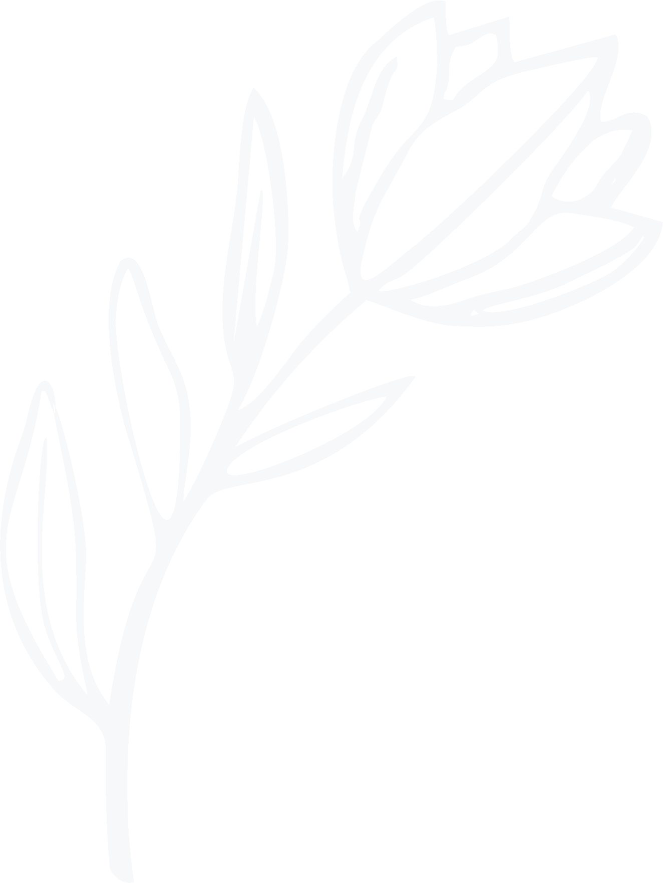 Flower OW Ros